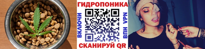 kraken зеркало Усть-Илимск Cannafood конопля
