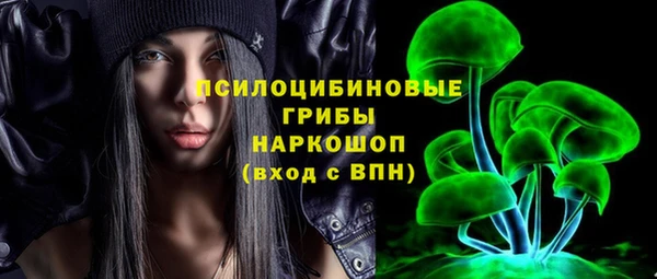 Альфа ПВП Абаза