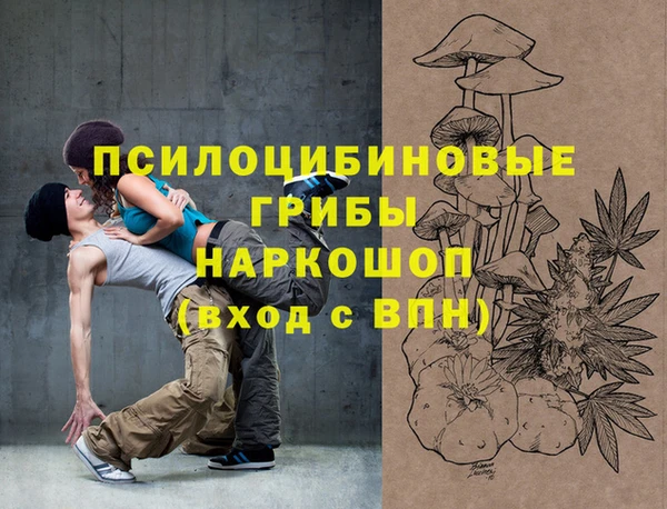 Альфа ПВП Абаза