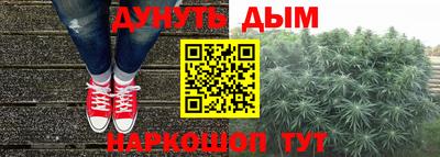ECSTASY Новодвинск