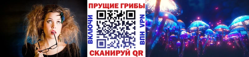 где купить наркоту  Усть-Илимск  МЕГА вход  Псилоцибиновые грибы Psilocybe 