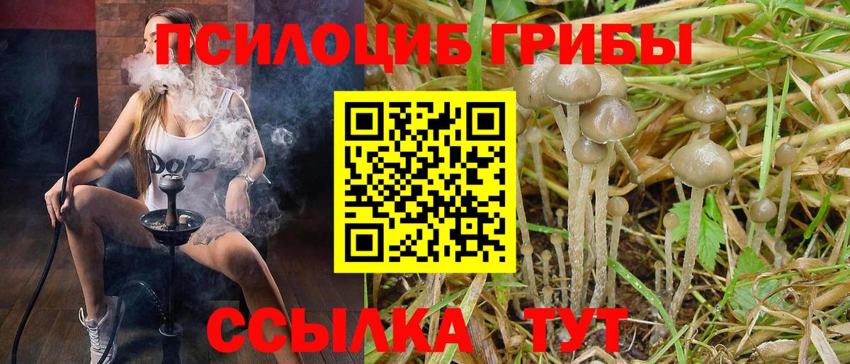 Галлюциногенные грибы мухоморы  Псилоцибиновые грибы GOLDEN TEACHER  Вход с VPN  Усть-Илимск 